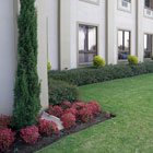 Corporate Gardens
