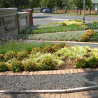 Corporate Gardens