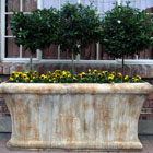 Residential Gardens